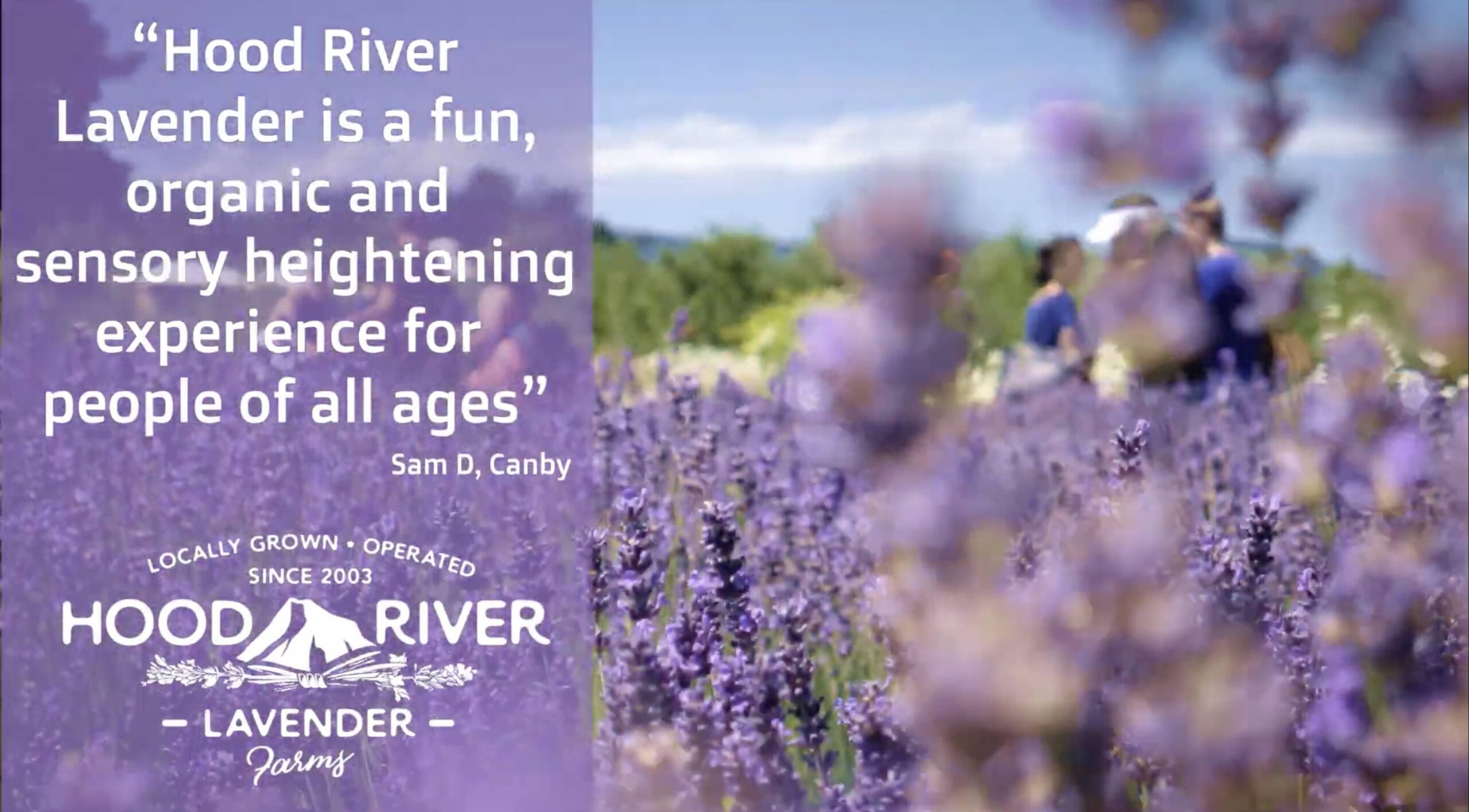 Hood River Lavender