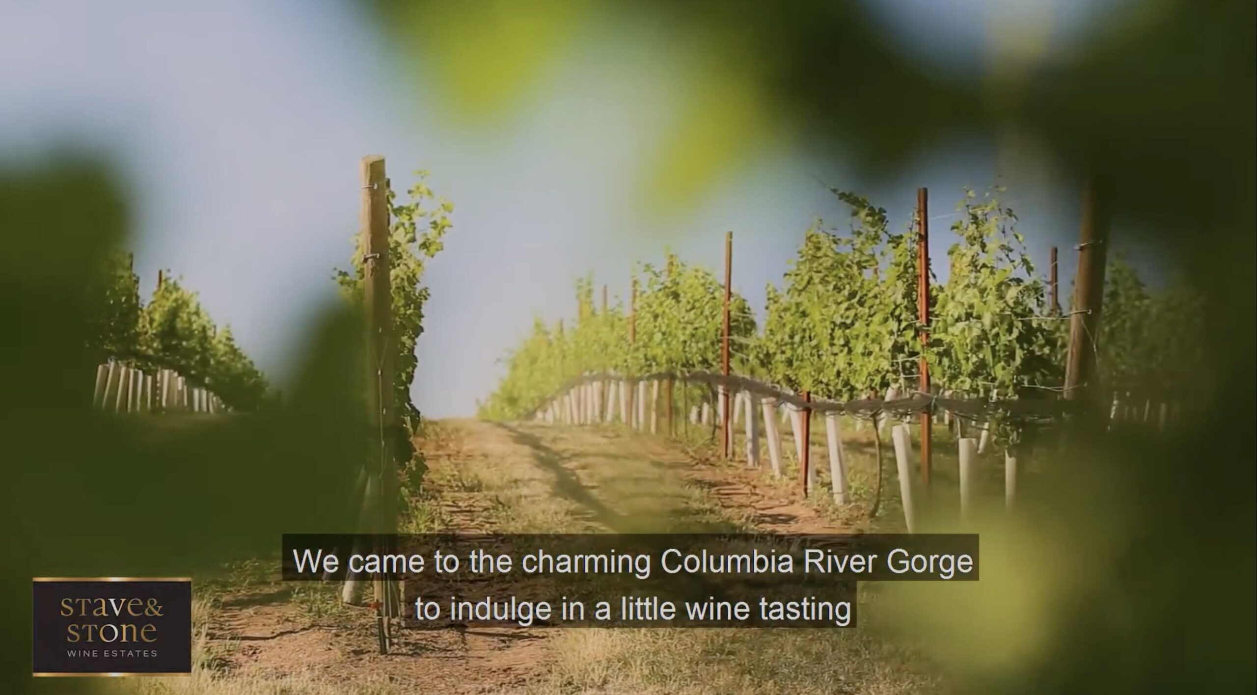 Stave & Stone Winery Feature